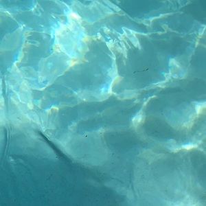 Meet your Posher, Laney